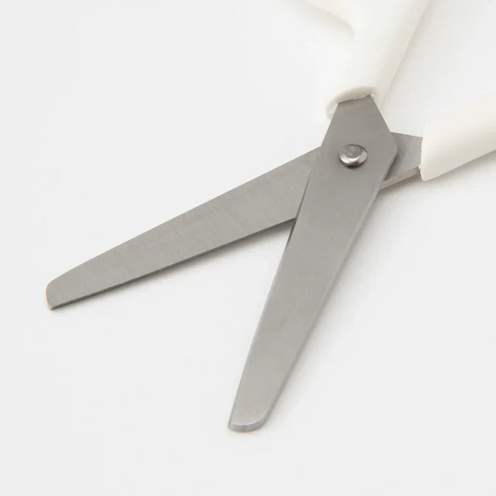 Scissors with Cover